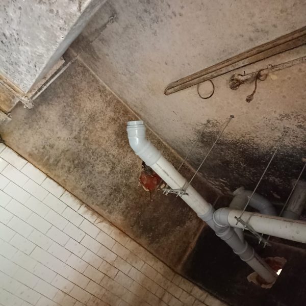 WhatsApp Image 2023-05-29 at 11.05.17(1)